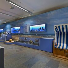 Foto in einen Ausstellungsraum. An einer langen Fotowand mit Strand und Blick auf das Meer steht rechts ein blau-weiß gestreifter Strandkorb. Links davon stehen und hängen Vitrinen mit Tierpräparaten, wie Meeresvögel, Schildkröten und Robben.