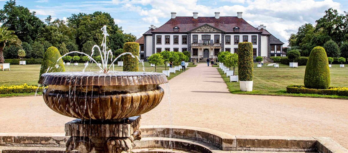 Foto des Schloss Oranienbaum. Im Vordergrund ist ein Springbrunnen, von dem aus ein Weg zu dem dreigeschossigen weißen Schloss führt. Der Weg wird durch kleine Bäume in weißen Töpfen gesäumt, die auf Rasenflächen stehen.