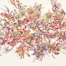 Zeichnung eines blühenden Perpetuum aus Elementen, die Orchideen, Algen, Seetang und Seeanemonen ähneln.