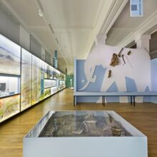 Raumansicht im Museum, Artefakte in Glaaskästen an den Wänden sowie im raum. Im Hintergrund ist ein Mammut als wandüberragende Schablone installiert, Knochenfragmente sind stellenweise auf dem Tier angebracht.
