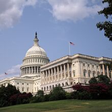 Das Kapitol in Washington D. C. mit seiner großen weißen Kuppel und der amerikanischen Flagge auf dem Dach. Im Vordergrund liegt eine grüne Rasenfläche mit Bäumen und Sträuchern, die das Regierungsgebäude einrahmen.