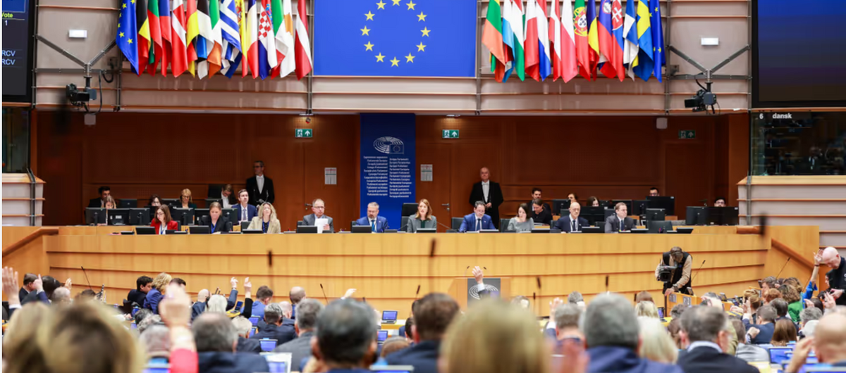 Foto aus dem Plenarsaal des Europäischen Parlaments. Zentral im Hintergrund sind die Vorsitzenden zu sehen. Über ihnen hängt das EU-Logo sowie rechts und links davon die Fahnen der Nationen. Im Vordergrund die Plenumsteilnehmenden von hinten.