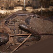 Foto einer Moorleiche, die nur mit dem Schädel, pelzartiger Kleidung, Rippen und Armen aus dem Moor ragt. Die Augenpartie ist mit einem Streifen bedeckt. Im rechten angewinkelten Arm liegen zwei Stöcker. Im Hintergrund eine fotografierte Moorlandschaft.